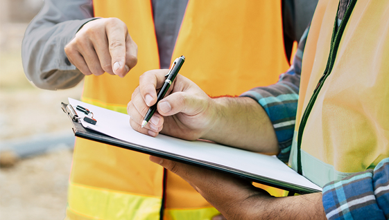 Inspekcija u postupku